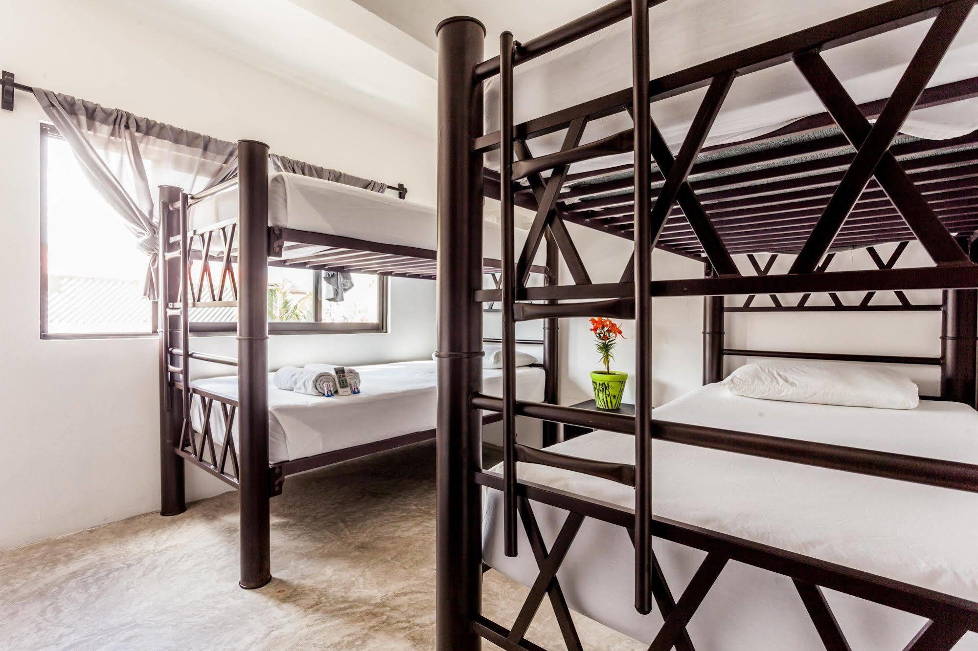 تولوم Hostel Babel المظهر الخارجي الصورة