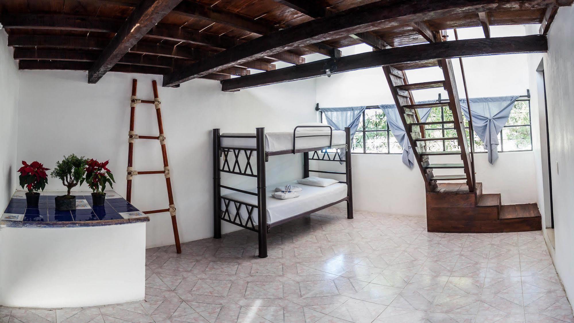 تولوم Hostel Babel المظهر الخارجي الصورة