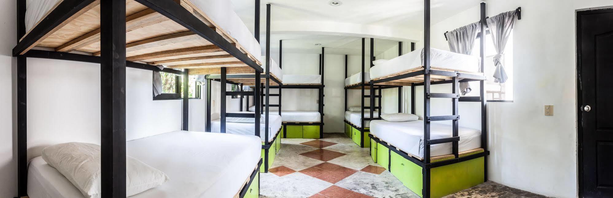تولوم Hostel Babel المظهر الخارجي الصورة